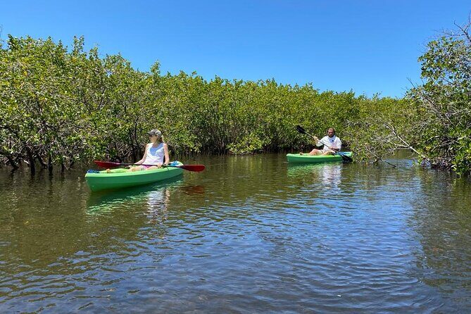 2 Hours Kayak Eco Tour in Tarpon Springs - What to Expect During the Tour