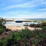2 Hours Kayak Island Tour in the Natural Park of Ria Formosa - Final Thoughts: Who Will Love This Tour?
