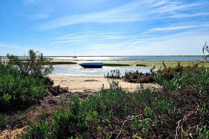 2 Hours Kayak Island Tour in the Natural Park of Ria Formosa - Final Thoughts: Who Will Love This Tour?