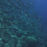 2 Hours Private Boat Tour Isola Bella Taormina Giardini Naxos - A Closer Look at the Itinerary