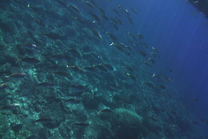 2 Hours Private Boat Tour Isola Bella Taormina Giardini Naxos - A Closer Look at the Itinerary