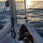 2 hours Private sunset experience by sailboat in Cascais - The Sum Up