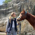 2 Hours Shared Horse Riding in Kemer Antalya All Level Riders - The Horses and Equipment