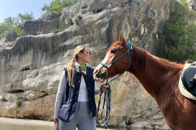 2 Hours Shared Horse Riding in Kemer Antalya All Level Riders - The Horses and Equipment