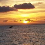 2 Hours Sunset Experience on Noosa River - Final Thoughts