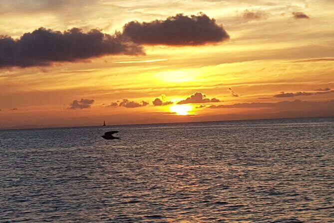 2 Hours Sunset Experience on Noosa River - Final Thoughts