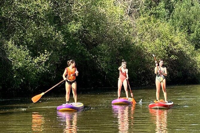 2 Hours SUP Activity on Arda River - The Experience in Detail: From Paddle to Plate