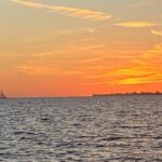 2 HR Dolphin Tour for 7 people - Final Words: Is It Worth It?