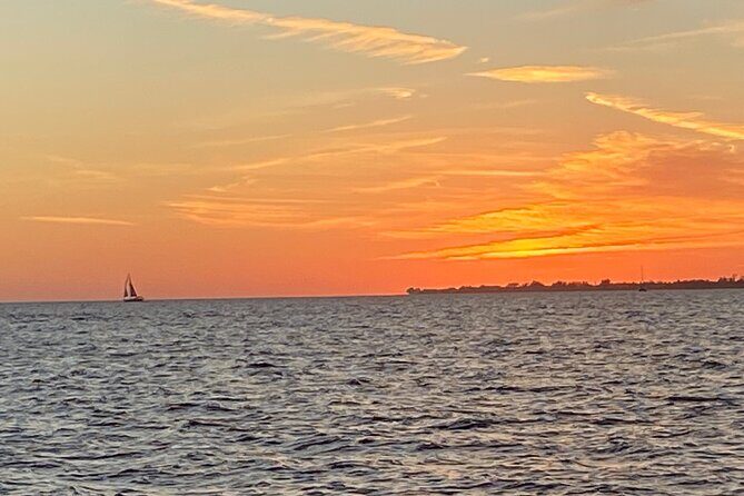 2 HR Dolphin Tour for 7 people - Final Words: Is It Worth It?