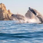 2 in 1 Tour | Arc Tour with Beach Drop - Who Is This Tour Best For?