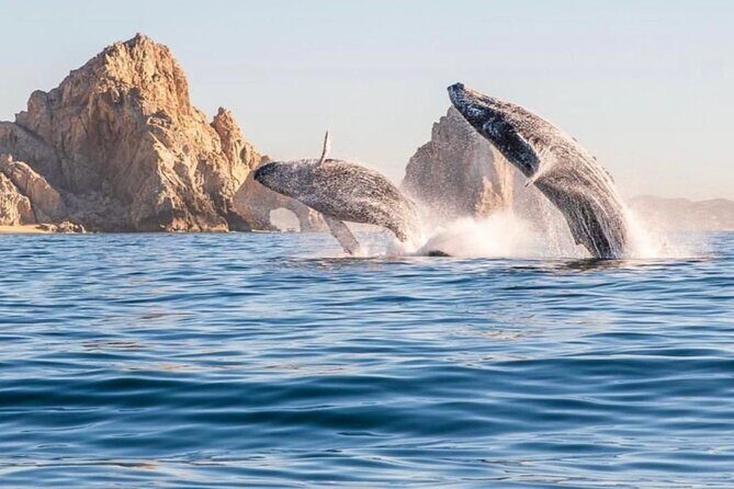 2 in 1 Tour | Arc Tour with Beach Drop - Who Is This Tour Best For?