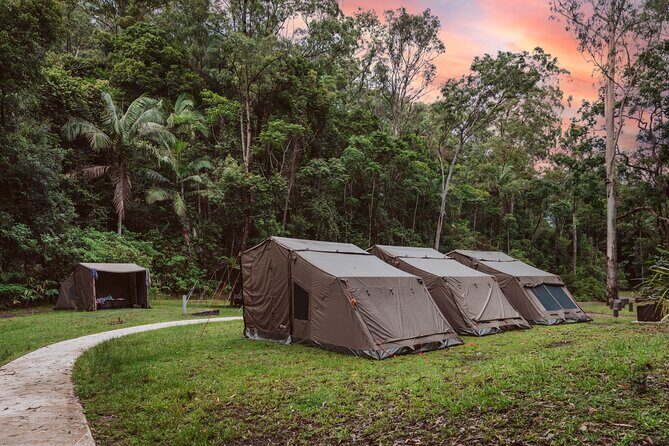 2 Night Rainforest Glamping Adventure near Byron Bay - A Closer Look at the Rainforest Glamping Experience