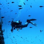 2 Scuba Fun Dives for Certified divers in St Paul's Bay - An In-Depth Look at Malta’s 2 Scuba Fun Dives