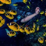 2 Tank Lanai Cathedral Scuba Dive Via Boat for Certified Divers - The Dive Sites: Caverns, Arches, and Swim-Throughs