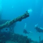 2 Tank Reef Dive in Mexico - Who Is This Tour Best Suited For?
