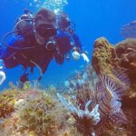 2 Tanks Scuba Diving in Punta Cancun Reefs for Certified Divers - A Closer Look at the Cancun 2-Tank Reef Experience