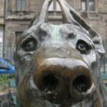 20 Dog-statues in Budapest - a unique tour - Why This Tour Is a Great Value