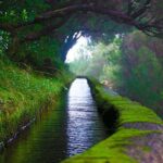 "25 Fountains" Walk / Lost In The Beautiful Forest - In-Depth Review: Exploring Madeira’s Natural Wonders