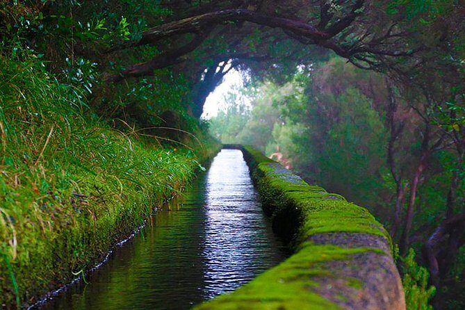 "25 Fountains" Walk / Lost In The Beautiful Forest - In-Depth Review: Exploring Madeira’s Natural Wonders
