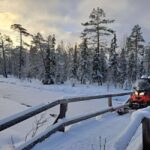 2h private snowmobile experience in Rovaniemi's forest - Exploring the Arctic Landscape on a Snowmobile