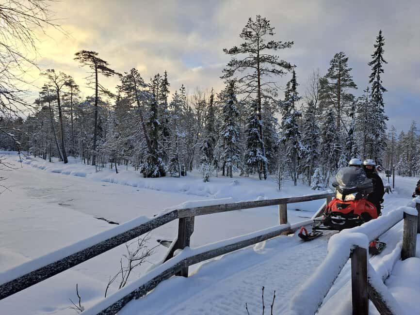 2h private snowmobile experience in Rovaniemi's forest - Exploring the Arctic Landscape on a Snowmobile
