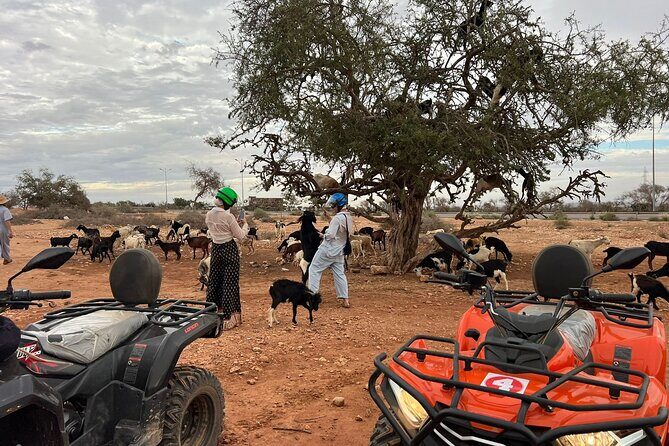 2Hours DE Quad + Comedy EN Tour and Crocoparc Tour - A Detailed Look at the Agadir Quad and Crocoparc Tour
