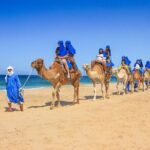 2x1 Tour: Cabo San Lucas Arch + Camels Ride + Pick up! - Who Will Enjoy This Tour?