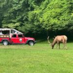 3.5-4 HR. Guided Safari Jeep Eco Waterfall Adventure - A Closer Look at the Safari Jeep Eco Waterfall Adventure