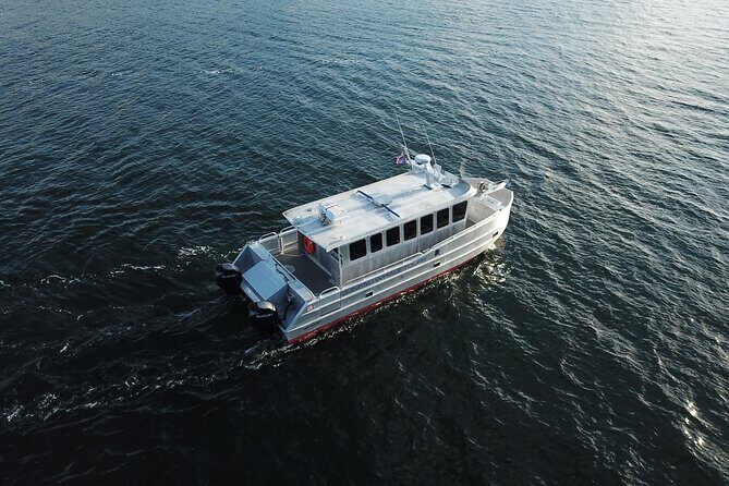 3.5 Hour Crowd-Skipping Whale Tour in Juneau Alaska - Who Will Love This Tour?