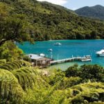 3.5 Hour Marlborough Sounds Delivery Cruise - In-Depth Review of the Marlborough Sounds Delivery Cruise