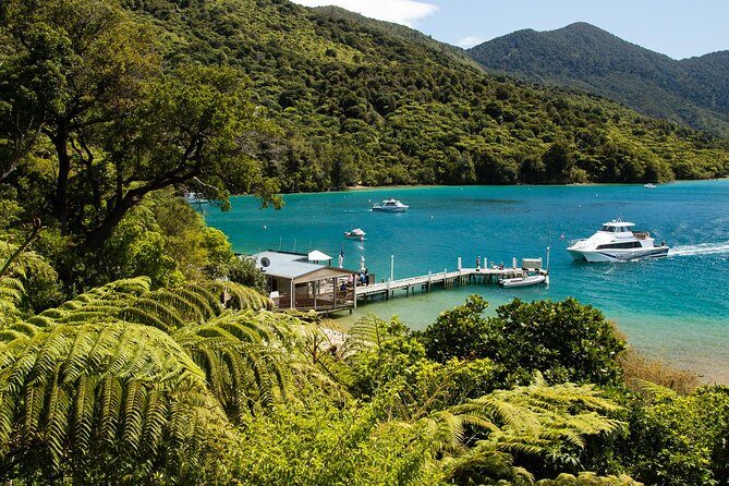 3.5 Hour Marlborough Sounds Delivery Cruise - In-Depth Review of the Marlborough Sounds Delivery Cruise
