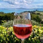 3.5 hour Sunset Tour on Waiheke Island - Practical Details and Considerations
