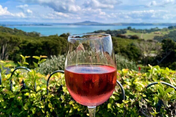 3.5 hour Sunset Tour on Waiheke Island - Practical Details and Considerations