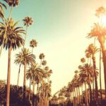 3.5-Hour West Side Story Tour - Who Should Book This Tour?