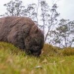 3-Day Cradle Mountain Photography Workshop - The Sum Up