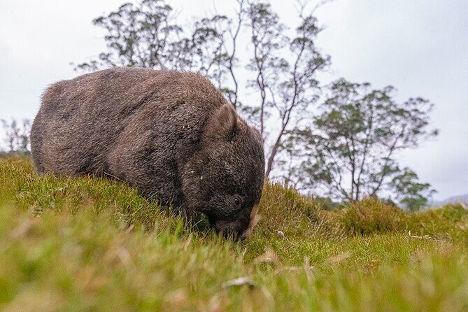 3-Day Cradle Mountain Photography Workshop - The Sum Up