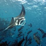 3 Day Dive Tour - Frequently Asked Questions