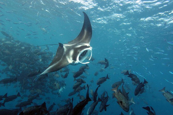 3 Day Dive Tour - Frequently Asked Questions