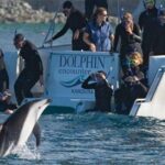 3 Day Kaikoura Sealife and Coach Tour from Christchurch - Frequently Asked Questions