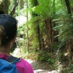 3 Day Kayak & Walk North New Zealand - Why This Tour Offers Real Value