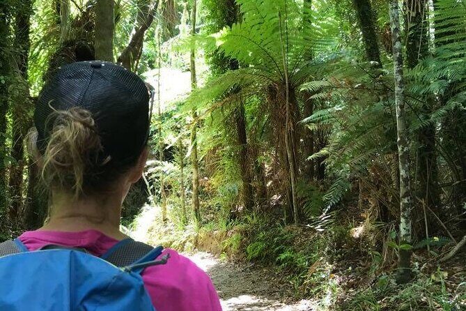 3 Day Kayak & Walk North New Zealand - Why This Tour Offers Real Value