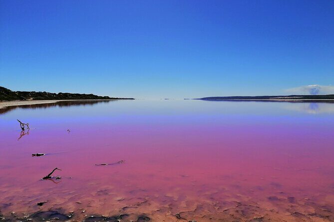 3 Day Pink Lake and Margaret River tour - What Makes This Tour Stand Out?