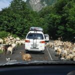 3-Day Svaneti Hiking Tour - What Travelers Say