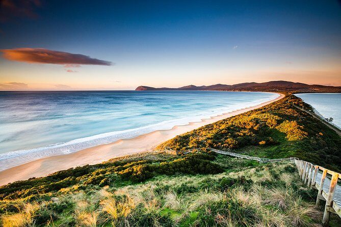 3 day Tasmanian highlights tour  Hobart, Port Arthur and Bruny Island - Exploring Tasmania in Depth: What You’ll Experience