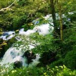 3 Days/2 Nights Lechkhumi Region Tour Package in Georgia - Why This Tour Works Well for You