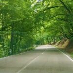 3 Days/2 Nights Vashlovani National Park Tour Package in Georgia - Real Traveler Insights