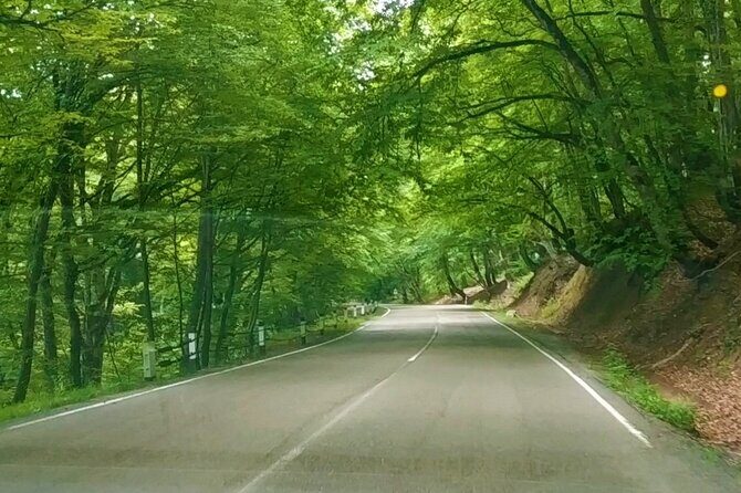 3 Days/2 Nights Vashlovani National Park Tour Package in Georgia - Real Traveler Insights