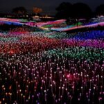 3 Days Private Pacific Tour to Big Sur Hearst Castle and more - Who Should Consider This Tour