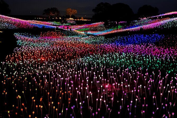 3 Days Private Pacific Tour to Big Sur Hearst Castle and more - Who Should Consider This Tour