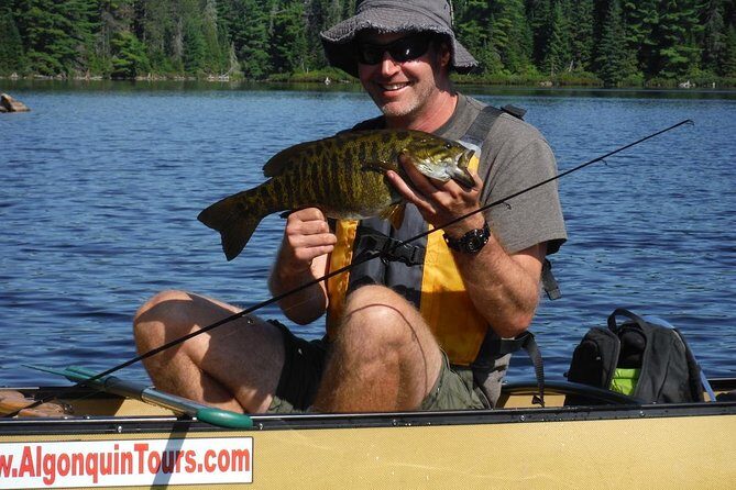 3 Hour Algonquin Park Bass & Trout Fishing (private- price is for 1 or 2 people) - Exploring the Details: What to Expect on Your Trip